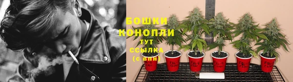гидропоника Семикаракорск